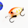 Daysprout ChatteCra DR CR Tune